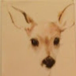 Meet your Posher, Eden